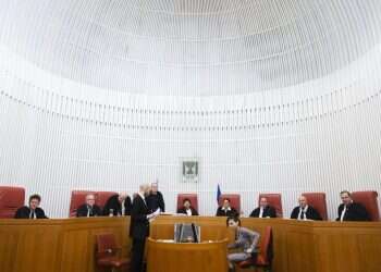 המהפכה החוקתית השנייה: המהלך של חיות לציפוף השורות מול חוק הנבצרות