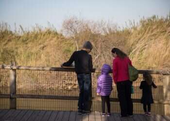 "לפתע הופר השקט והזאטוטית צרחה: 'הנה צב! הנה צב!"
