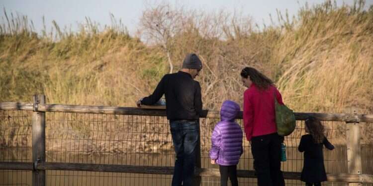 "לפתע הופר השקט והזאטוטית צרחה: 'הנה צב! הנה צב!"