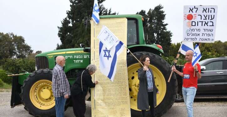 מגילת העצמאות הפכה לחוקה, והיא בכלל לא ידעה שהיא כזו
