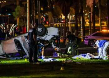 לשימוש חד פעמי