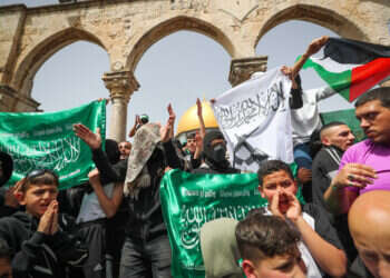 לשימוש חד פעמי