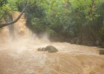 מפל הבניאס זורם בעוצמה, חורף 23'. צילום: ליאור שלף, רשות הטבע והגנים כמויות גשם אדירות ברחבי הארץ. החרמון נצבע לבן | צפו