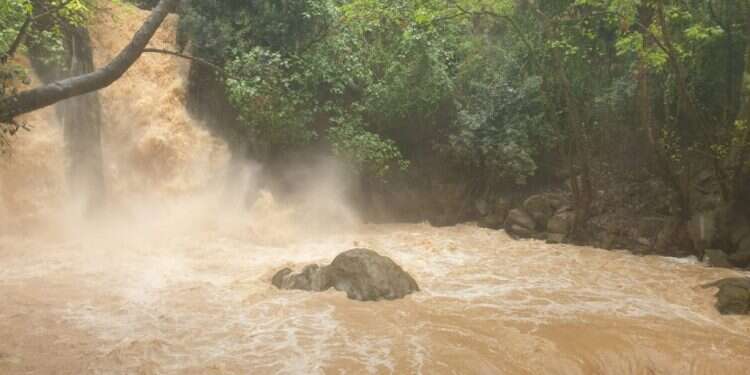 מפל הבניאס זורם בעוצמה, חורף 23'. צילום: ליאור שלף, רשות הטבע והגנים כמויות גשם אדירות ברחבי הארץ. החרמון נצבע לבן | צפו