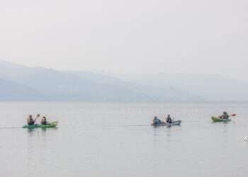 צילום: יוסי אלוני