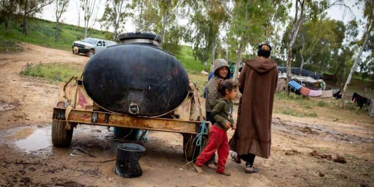 צילום: אריק סולטן