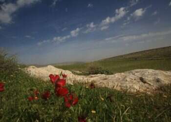 אביב הגיע פסח בא: התחממות לקראת החג | תחזית מזג האוויר