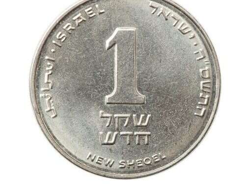 צילום: שאטרסטוק צילום: שאטרסטוק