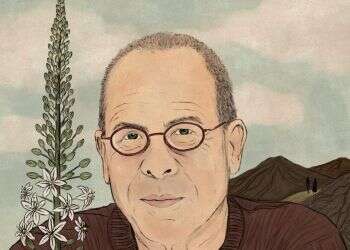 איור: שרון ארדיטי