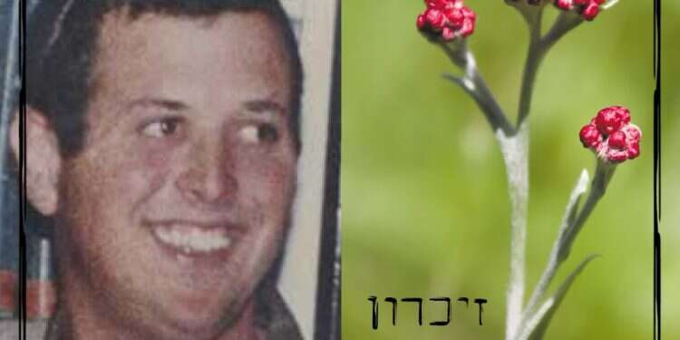 עמיקם עמיאור ז