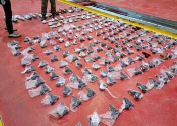 חבר הפרלמנט הירדני שהבריח נשק לישראל – תומך חמאס