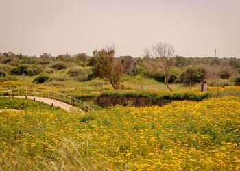 מזג האוויר ערב יום הזיכרון לשואה – שרבי ואביך | תחזית מזג האוויר