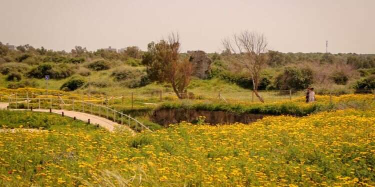 מזג האוויר ערב יום הזיכרון לשואה – שרבי ואביך | תחזית מזג האוויר