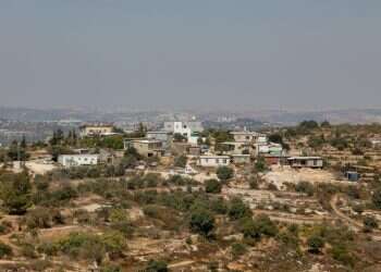 ביישוב קטנטן פועלים שני יקבים עם מבחר יינות מקורי