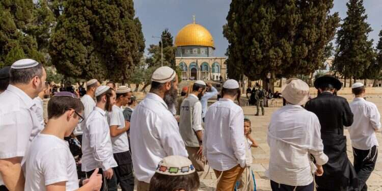 "האויבים שלנו הביטו בעליצות על ההפגנות. המבצע בעזה גרם להם להתפכח"