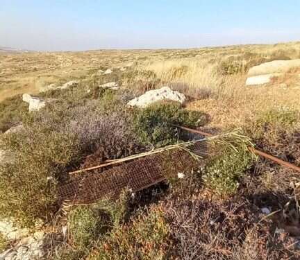 מאה עצים נעקרו במטע זיתים יהודי בהר חברון