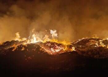 מסתמן: השריפה במטעי התמרים נגרמה מהצתה מכוונת