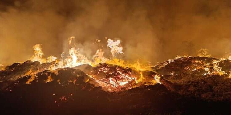 השריפה ליד קליה, הלילה. צילום: כבאות והצלה מסתמן: השריפה במטעי התמרים נגרמה מהצתה מכוונת