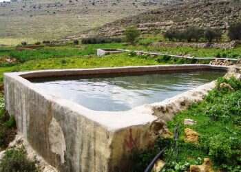 חי, צומח, דומם, יהודים וערבים – כולם ייפגעו מגדר ההפרדה בגוש עציון