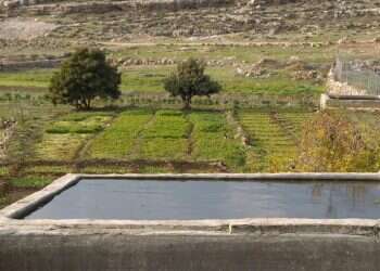 חי, צומח, דומם, יהודים וערבים – כולם ייפגעו מגדר ההפרדה בגוש עציון