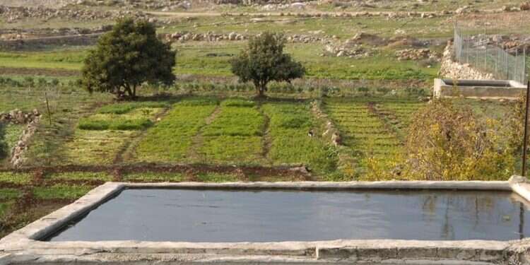 וואדי פוכין, גוש עציון. צילום: בית ספר שדה כפר עציון חי, צומח, דומם, יהודים וערבים – כולם ייפגעו מגדר ההפרדה בגוש עציון