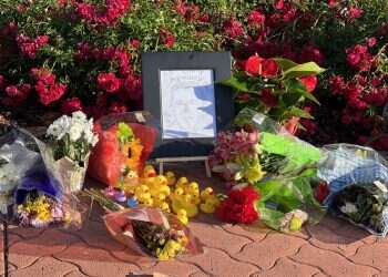 ארה"ב: עזר לברווזים לחצות את הכביש – ונהרג באופן טרגי