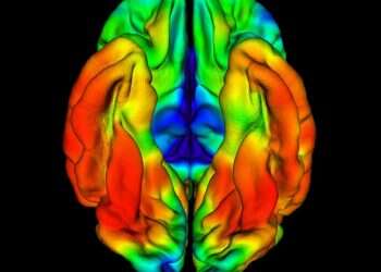 מחקר חדש: ייתכן שחולה מקולומביה נושא את המפתח לריפוי אלצהיימר