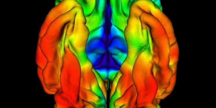 מחקר חדש: ייתכן שחולה מקולומביה נושא את המפתח לריפוי אלצהיימר