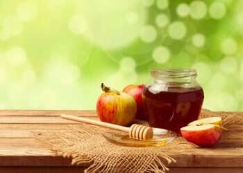 הכל דבש: 10 עובדות שלא ידעתם על הסוכר של הטבע