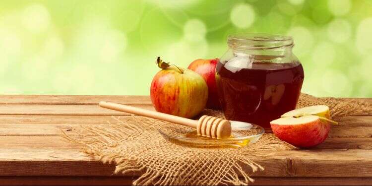 הכל דבש: 10 עובדות שלא ידעתם על הסוכר של הטבע