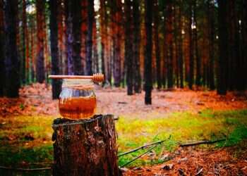 ישראבלוף: אפילו הדבש הישראלי הנמכר ביותר מבוסס רק על סיפור