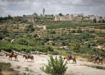 חי, צומח, דומם, יהודים וערבים – כולם ייפגעו מגדר ההפרדה בגוש עציון