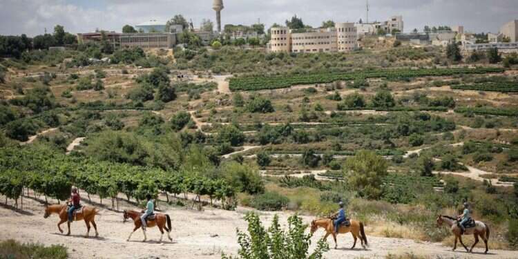 גוש עציון. צילום: גרשון אלינסון פלאש 90 חי, צומח, דומם, יהודים וערבים – כולם ייפגעו מגדר ההפרדה בגוש עציון
