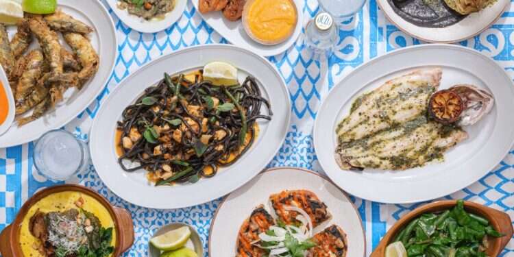 צילום: אנטולי מיכאלו