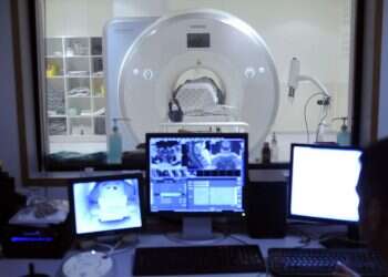 מדענים הצליחו "לפענח מחשבות" על ידי חיבור של MRI ו-chatGPT