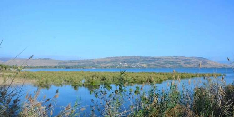 הכנרת.  צילום: איגוד ערים כינרת הקו שעובר בכל חופי הכנרת אמור להיות מעולה, אם הוא רק יגיע