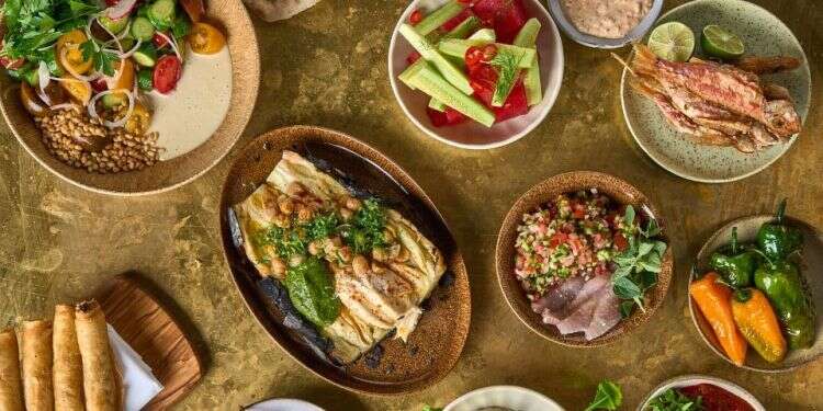 צילום: איתמר גינצבורג