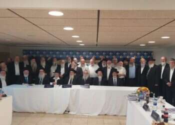 בפרופיל נמוך: מה היו שיקולי הרבנים כשבחרו ברב כהנא?