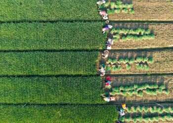 חקלאות היא אחד התחומים הכי טעונים בכלכלה העולמית