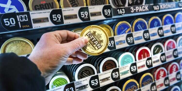 טבק לעיסה שוודי. צילום: איי.פי שיא באיחוד האירופי: שוודיה בדרך להפוך למדינה ללא מעשנים