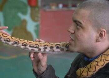 עזבו כלבים: בברזיל משתמשים בנחשים ובתנינים כדי לעודד דיבור אצל אוטיסטים