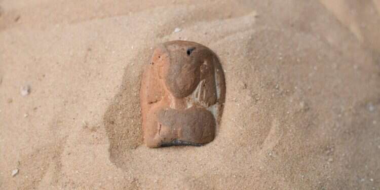 הפסלון העתיק. צילום: יולי שוורץ, רשות העתיקות "ברגע הראשון בעלי צחק עליי": טיילה בחוף ומצאה פסלון בן יותר מ-3,000 שנה