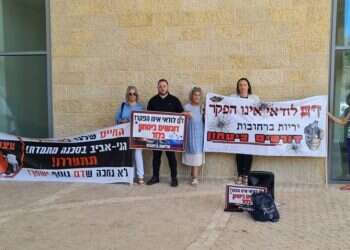 "שיבינו את המציאות": תושבים בלוד השמיעו קולות ירי בזמן ביקור ח"כים בעיר