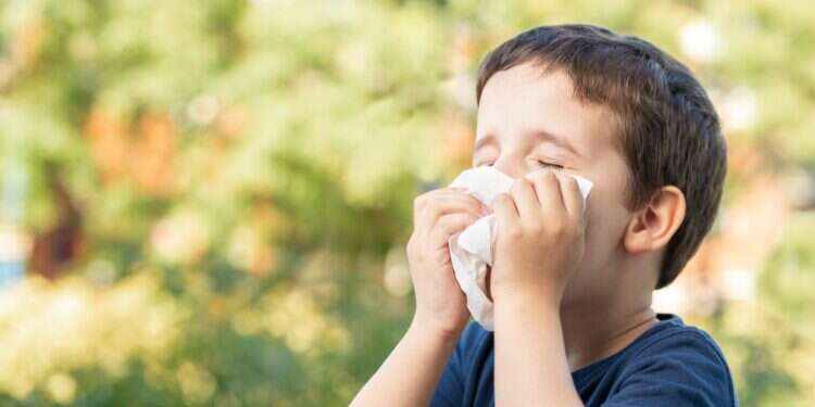 אלרגיות עונתיות. צילום: שאטרסטוק אלרגיות עונתיות