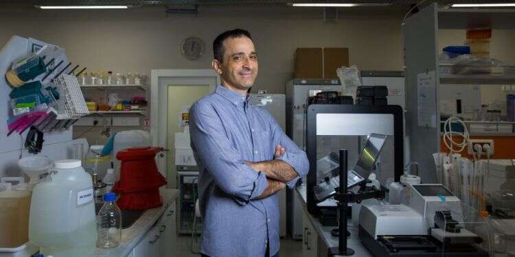 כדי לחסל את הסרטן צריך לזהות את בנק המטרות, ולפתח חימוש מדויק. פרופ' ינאי עופרן. צילום: לירון מולדובן