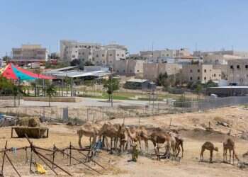 "הרצליה פיתוח של הבדואים": יהודייה בת 34 מונתה למנכ"לית של חורה ולא חוששת