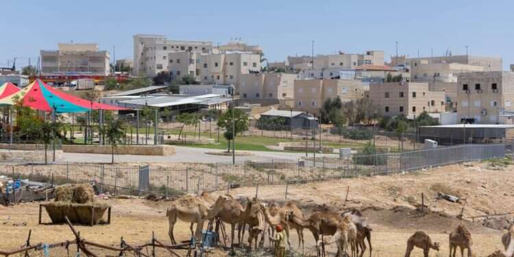 חורה. צילום: לירון מולדובן "הרצליה פיתוח של הבדואים": יהודייה בת 34 מונתה למנכ"לית של חורה ולא חוששת