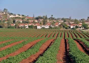 מי אמר שלמפגינים נגד הרפורמה יש שעוני רולקס?