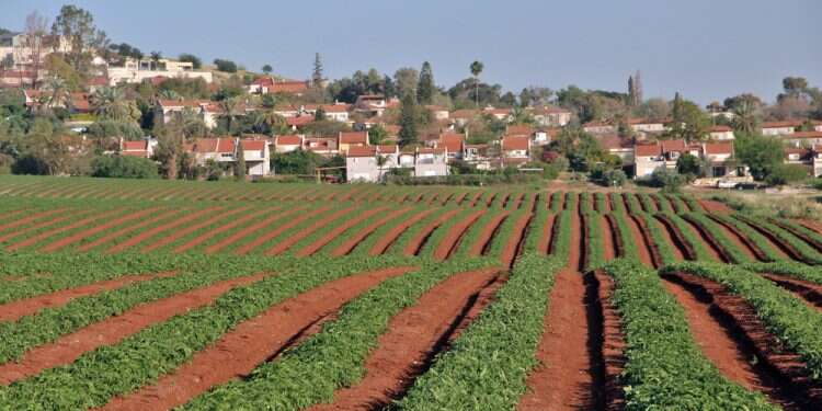 צילום: שאטרסטוק מי אמר שלמפגינים נגד הרפורמה יש שעוני רולקס?