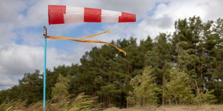מה הערך הראשון בקוד האתי של צה"ל?